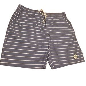 Allyance Striped  Board Shorts Men’s Size 34